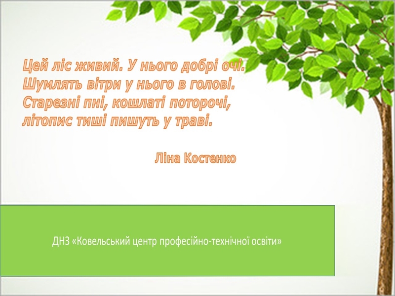 Зображення недоступне