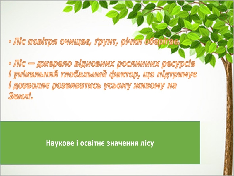 Зображення недоступне