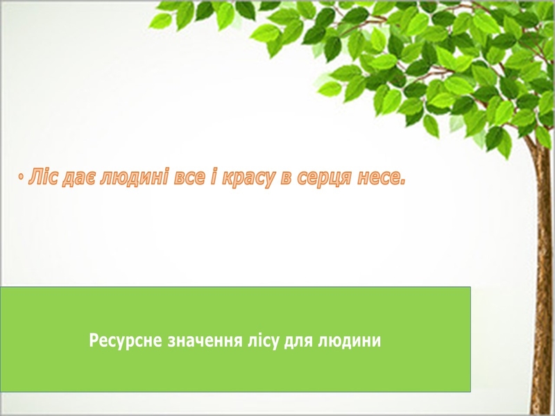 Зображення недоступне