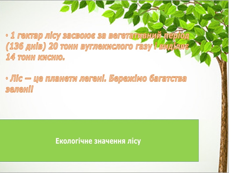 Зображення недоступне