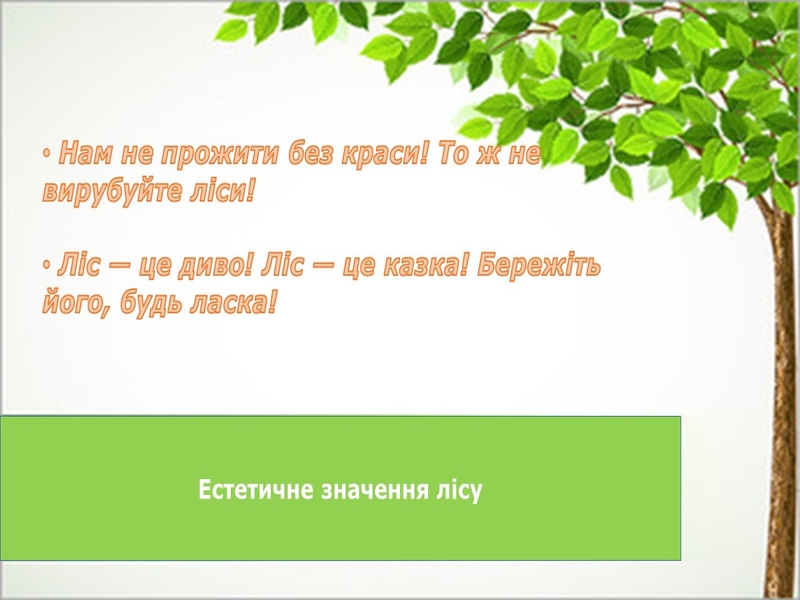 Зображення недоступне